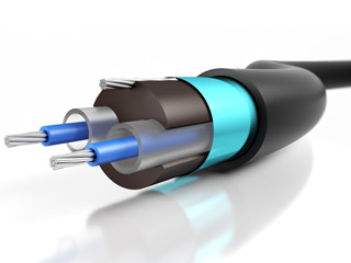Câble sensor (vendu au mètre)