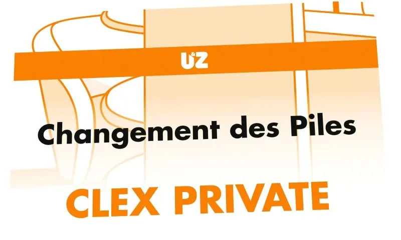 [232010005200] CX2320 : CARTE DE CHANGEMENT  DE PILE