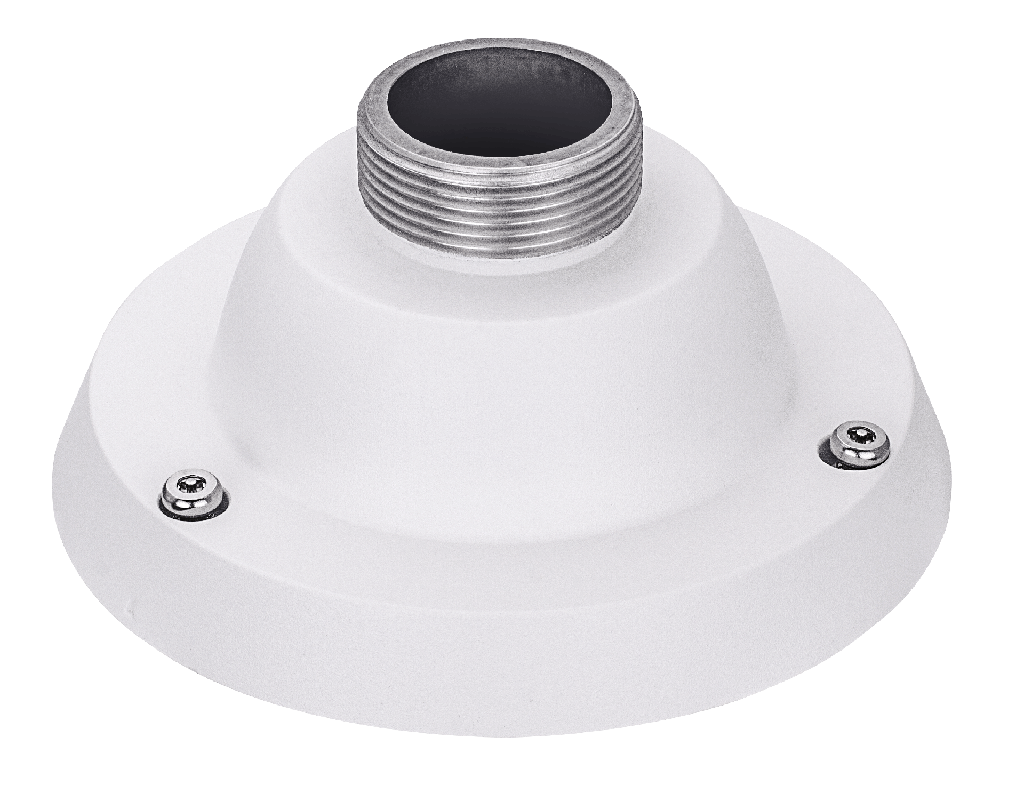 Mounting adapter for outdoor speed dome